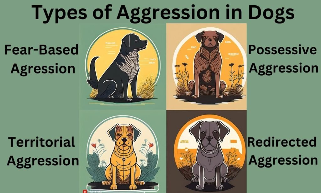 aggressive dogs
